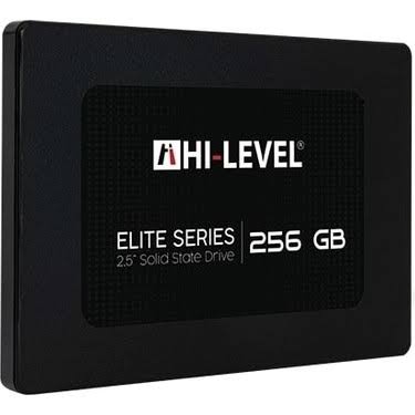 HI-LEVEL 256GB Elite Ssd Disk HLV-SSD30ELT/256G