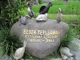Sepertiya kedua rumah makan ini memang merupakan restoran pelopor dalam olahan daging bebek. Venue Bebek Tepi Sawah Ubud The Concept