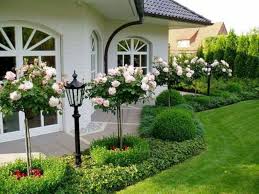 47 Amazing Rose Garden Ideas On This Year Matchness Com Front Garden Landscape Side Yard Landscaping Front Yard Landscaping Design