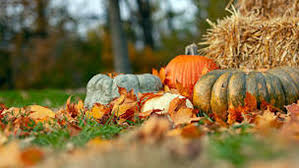 Thanksgiving 2020 in canada will be celebrated on 12 october, and it is given the status of a national holiday. Celebrating Canadian Thanksgiving In 2020 Give Thanks Not Covid Robby Robin S Journey