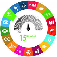 May 01, 2021 · selanjutnya adalah cara aktivasi office 2016 dengan kmsauto. Sdg 15 Life On Land Statistics Explained