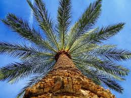 Iraqisonmymind Amazing Photography Baghdad Iraq Baghdad