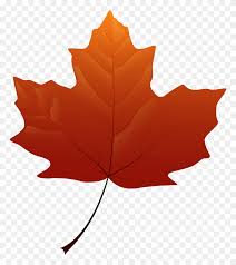 We did not find results for: Autumn Leaves Png Transparent Images Leaves Falling Png Stunning Free Transparent Png Clipart Images Free Download