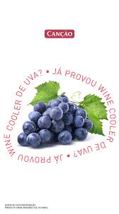 Best wine coolers and wine cooler reviews. Vinhos Cancao Publicacoes Facebook