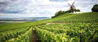 From Binche To Epernay Exploring Champagne And Eastern France