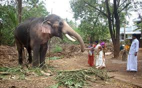 Thechikottukavu Ramachandran - Wikipedia