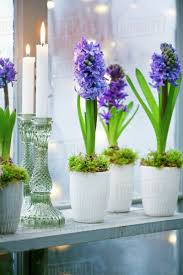 We did not find results for: Flowers In Small Pots Stock Photo Dissolve