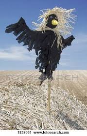 Scarecrow In A Field Stock Image Epouvantail De Jardin Epouvantail Ornement De Jardin