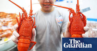 Among the many christmas traditions to look forward to each year are favorite cocktails and punches. How To Do An Australian Christmas Seafood The Guardian
