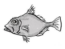 Check out our movie playlists our techniques are simple enough for beginner artists and young kids. False Dory Australian Fish Cartoon Retro Drawing Digital Art By Aloysius Patrimonio