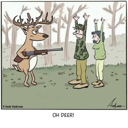 Oh deer cartoon