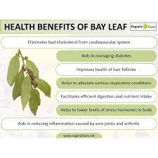 Anda mungkin akan jumpa lapangan terbang tujuan yang lebih murah, cepat atau mudah. Daun Kayu Manis Bay Leaves 100g Shopee Malaysia