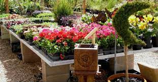 Highway 395 at the truckee meadows(reno, sparks and washoe county) urban tree canopy assessment. Arbor Day Nursery Garden Center In Riverton Utah