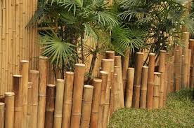 Selain itu tetap berfungsi untuk melindungi kebun anda dari gangguan binatan dan untuk memisahkan kebun anda dengan bagian yang lainnya. 11 Contoh Model Pagar Bambu Unik Dan Minimalis Kreatif Banget