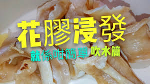 職人吹水 花膠浸發吹水篇how to prepare fish maw 中英文字幕 youtube how to cook fish chinese cooking cooking techniques