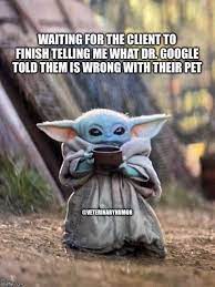 Fourteen Veterinary Memes For The Heroes Who Care For Our Pets Yoda Funny Yoda Meme Funny Memes