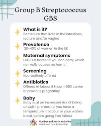 Image result for Group B Streptococcus