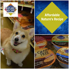 They also contain a modest range of vitamins and minerals including vitamin a, c, and k. Choosing An Affordable Grain Free Pet Food Naturesrecipe Some Pets Grain Free Pet Food Food Animals Dog Boarding Near Me