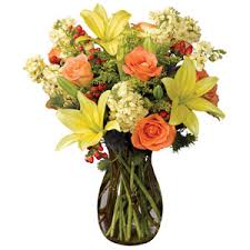 Maybe you would like to learn more about one of these? Saddle Creek Florist Bradenton Fl 34207