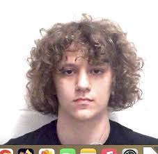 Elkton teens charged in armed carjacking