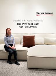 Pet-Friendly Customisable Sofas at Harvey Norman