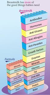 breastmilk vs formula nutrition chart human breast milk