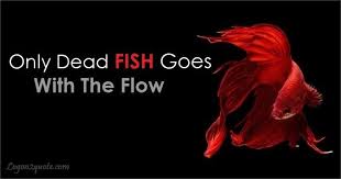 Only Dead Fish Goes With The Flow Dead Fish Picture Quotes Life Quotes