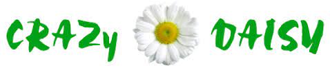 4076 hylan blvd, staten island, ny 10308. Crazy Daisy Flowers Home