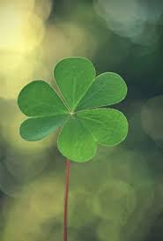 Seasonalwonderment Clover Leaf St Patricks Day Wallpaper Leaves