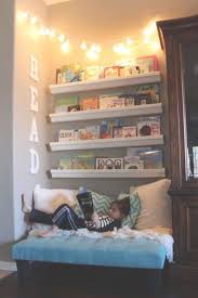 Ayicik Panosundaki Pin