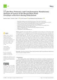 Image result for Xerophyta schlechteri