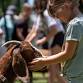 5th Annual Paradise Grazing Festival!