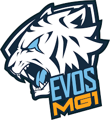 Evos esports, formerly known as zero latitude, is a professional esports organisation based in jakarta, indonesia. Evos Memorial Gamer Liquipedia Free Fire Wiki