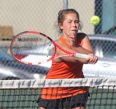 Panthers fall to section foes