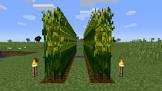 Corn (マイクラ)
