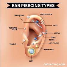 All types of piercings on ear. The Different Types Of Ear Piercing And Their Names Dat Piercing Types Of Ear Piercings Ear Piercing Names Ear Piercings Chart