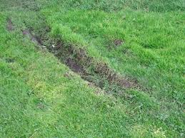 Form the metal coat hanger you can cut a 12 wire by making use of wire cutter. How To Detect A Water Leak In The Irrigation System Dengarden