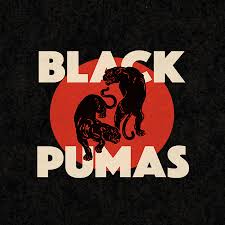 Cuenta oficial del equipo varonil del club universidad nacional, ¡méxico, pumas, universidad! Black Pumas Youtube