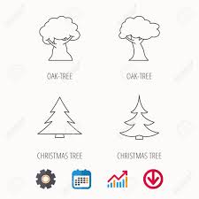 Tree Oak Tree And Christmas Tree Icons Forest Trees Linear