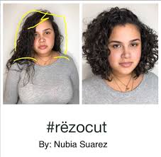 Pro hairdresser follows a diy haircut tutorial. Rezo Cut 2c Hair Bpatello