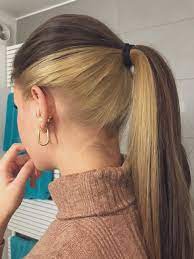 Narcissa Malfoy Hair Hair Color Underneath Dyed Hair Hair Color Streaks