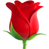 Rose On Apple Ios 10 3 Rose Emoji Rose Emoji