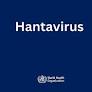 WHO: Hantavirus outbreak on cruise ship nearing containment