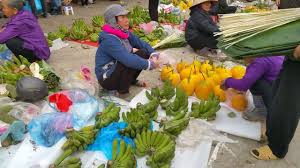 Image result for tết quê tôi