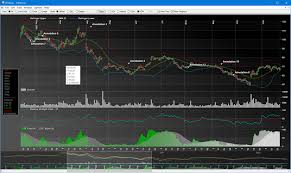 Data Visualization Net C Charts Exe Svg Html5