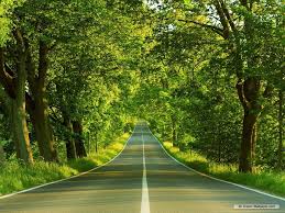 Collection Top 29 Free Download Desktop Wallpaper 1024x768 Hd Download Scenery Wallpaper Nature Desktop Nature Backgrounds