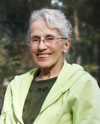 Carol Ann Kelly Obituary November 26, 2022