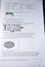 Fungsinya sebagai stasiun pemancar yang menghubungkan otak besar ke otak tengah adalah pusat pengatur gerakan otot mata, sedangkan pons terlibat dalam koordinasi gerakan mata dan otot. Kak Tolong Banget Soalnya Pas Nya Bsk Brainly Co Id