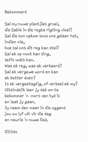 Pin On Afrikaans Alles