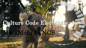 Culture Code Make Me Move Feat Karra Ncs Release 
